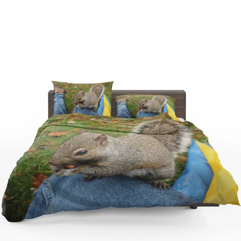 Squirrel Playful Acrobatics Natural Joy Bedding Set