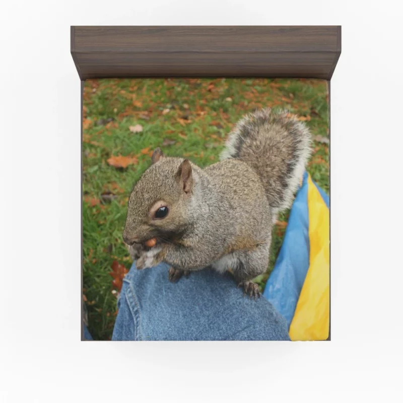 Squirrel Playful Acrobatics Natural Joy Fitted Sheet 1