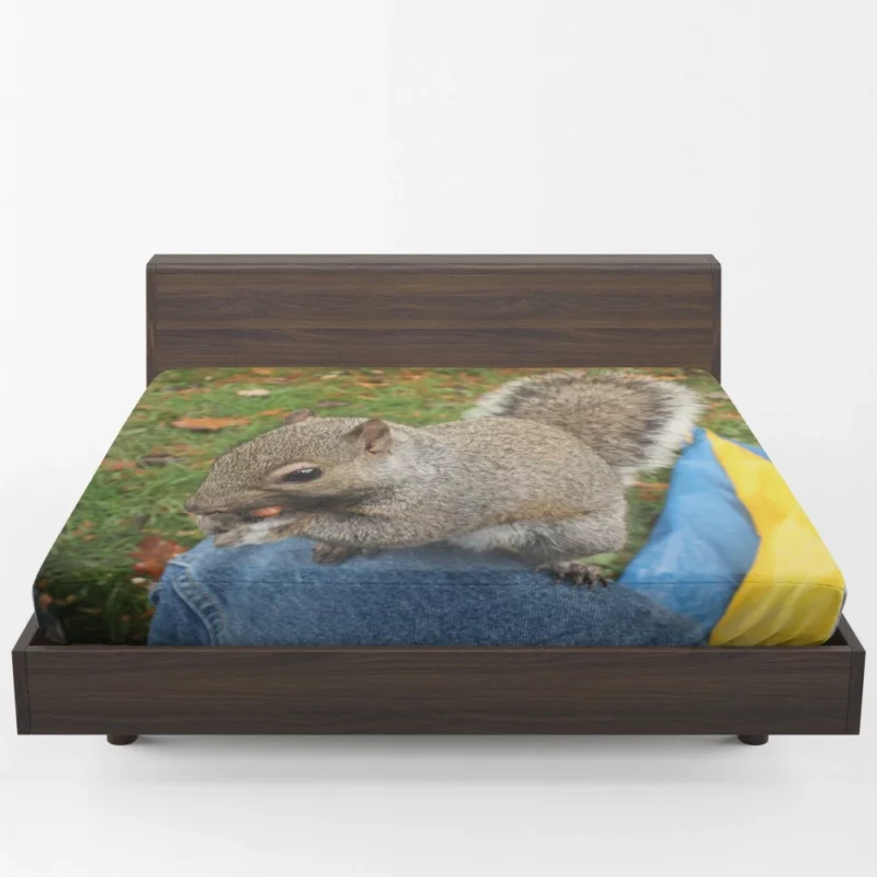 Squirrel Playful Acrobatics Natural Joy Fitted Sheet