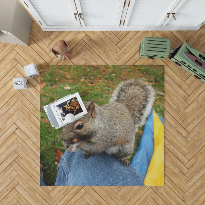 Squirrel Playful Acrobatics Natural Joy Rug