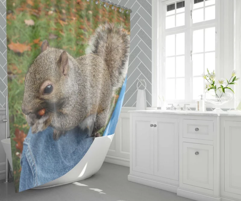 Squirrel Playful Acrobatics Natural Joy Shower Curtain 1