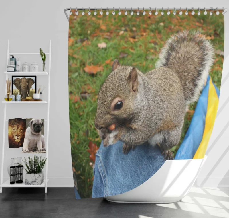 Squirrel Playful Acrobatics Natural Joy Shower Curtain