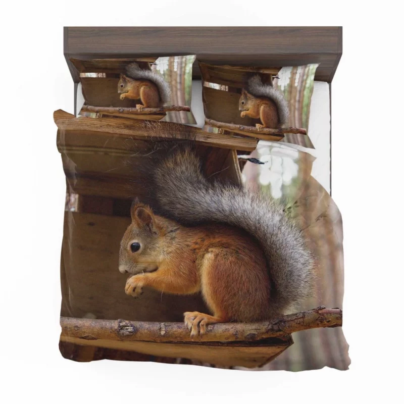 Squirrel Playful Antics Nature Joy Bedding Set 1