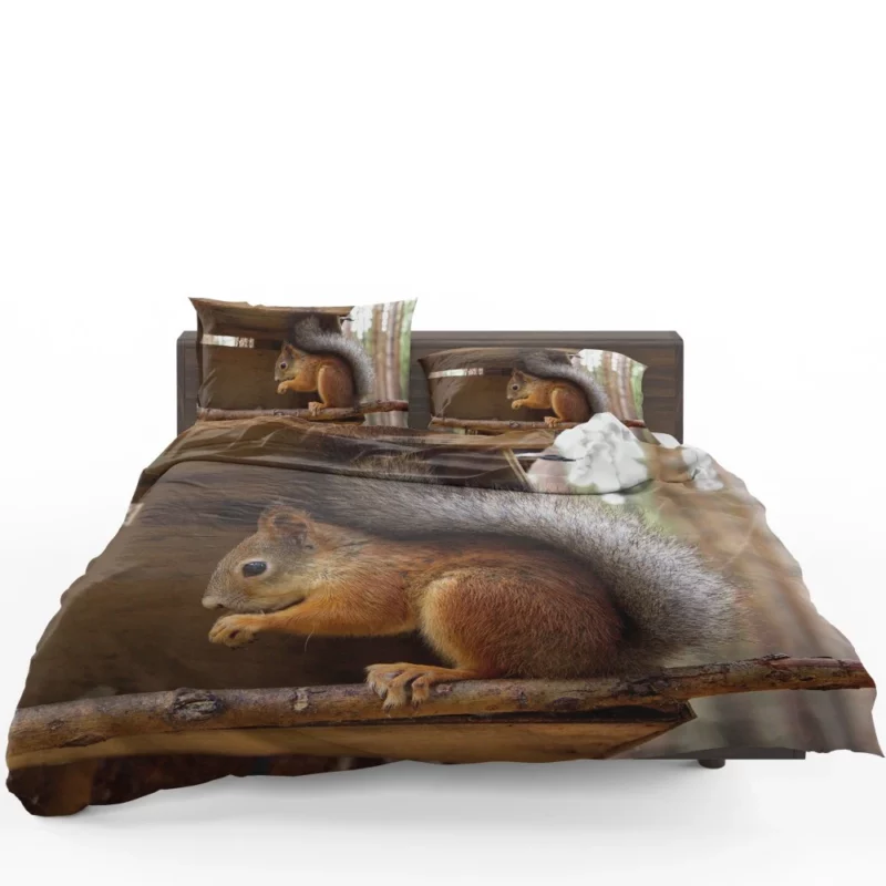 Squirrel Playful Antics Nature Joy Bedding Set