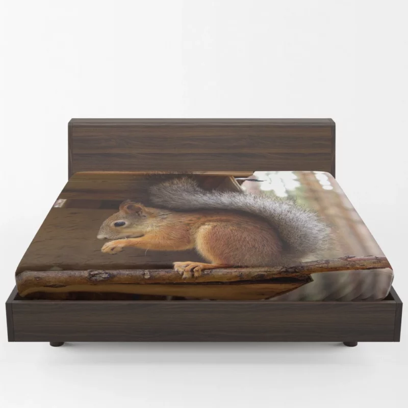 Squirrel Playful Antics Nature Joy Fitted Sheet