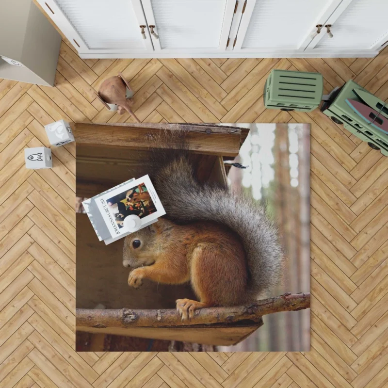 Squirrel Playful Antics Nature Joy Rug