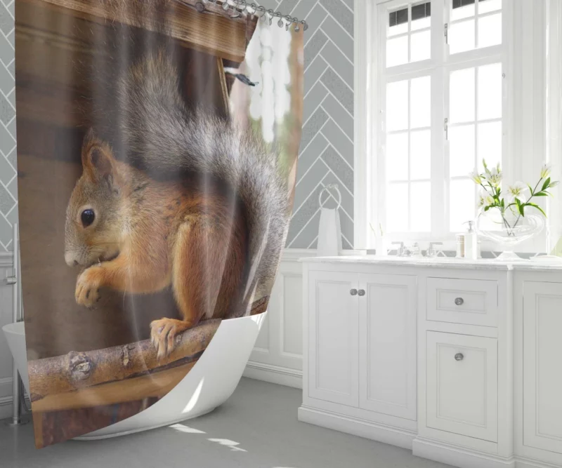 Squirrel Playful Antics Nature Joy Shower Curtain 1