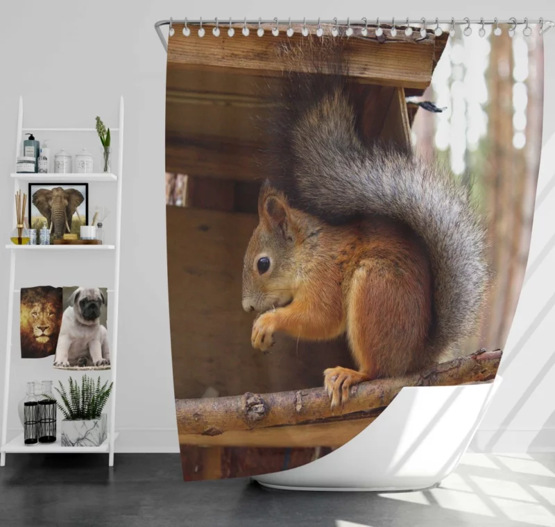 Squirrel Playful Antics Nature Joy Shower Curtain