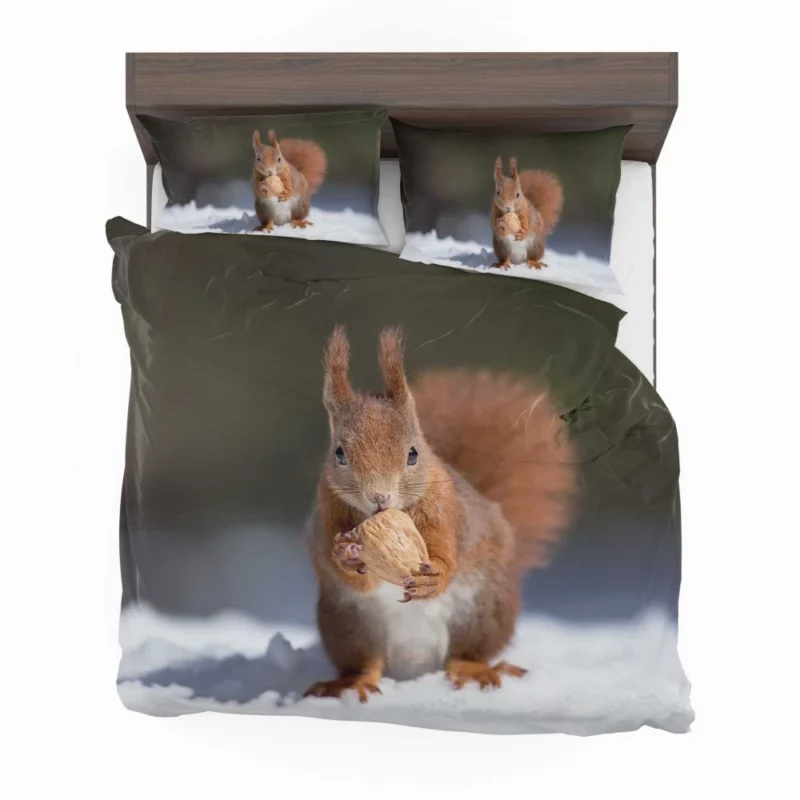 Squirrel Playful Energy Nature Charm Bedding Set 1