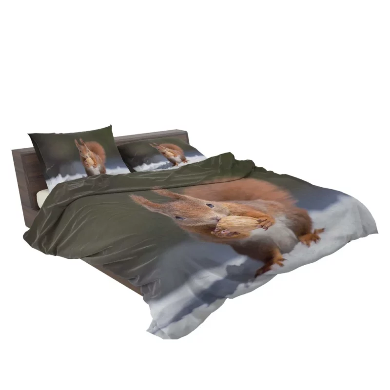 Squirrel Playful Energy Nature Charm Bedding Set 2