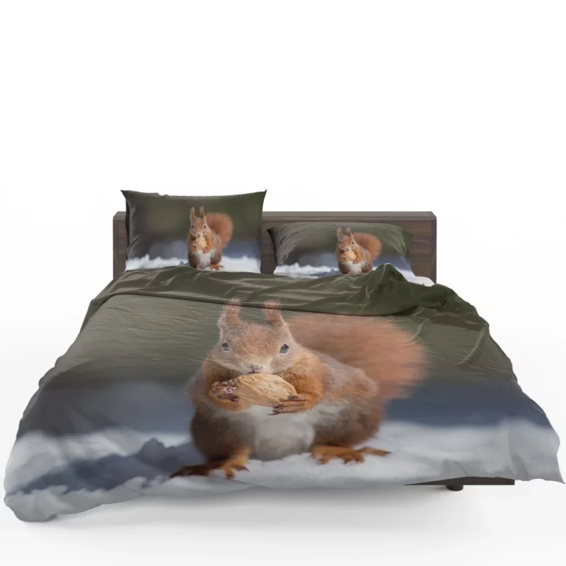 Squirrel Playful Energy Nature Charm Bedding Set