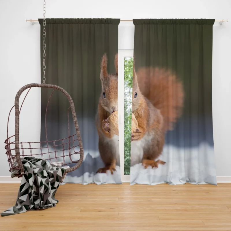 Squirrel Playful Energy Nature Charm Curtain