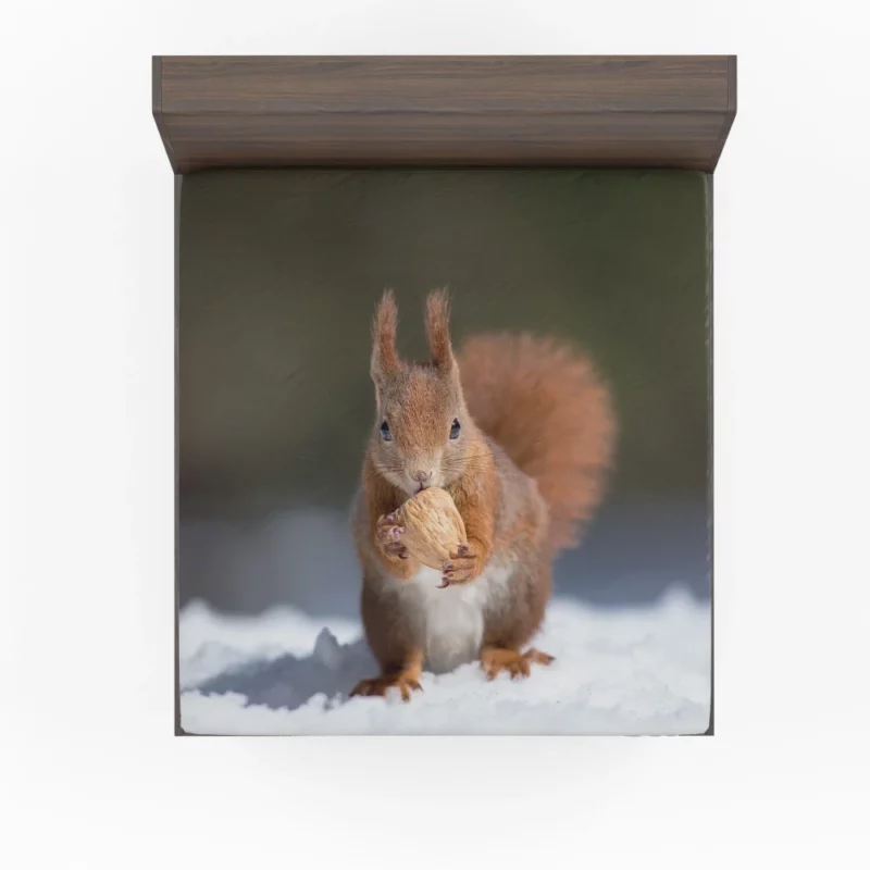 Squirrel Playful Energy Nature Charm Fitted Sheet 1