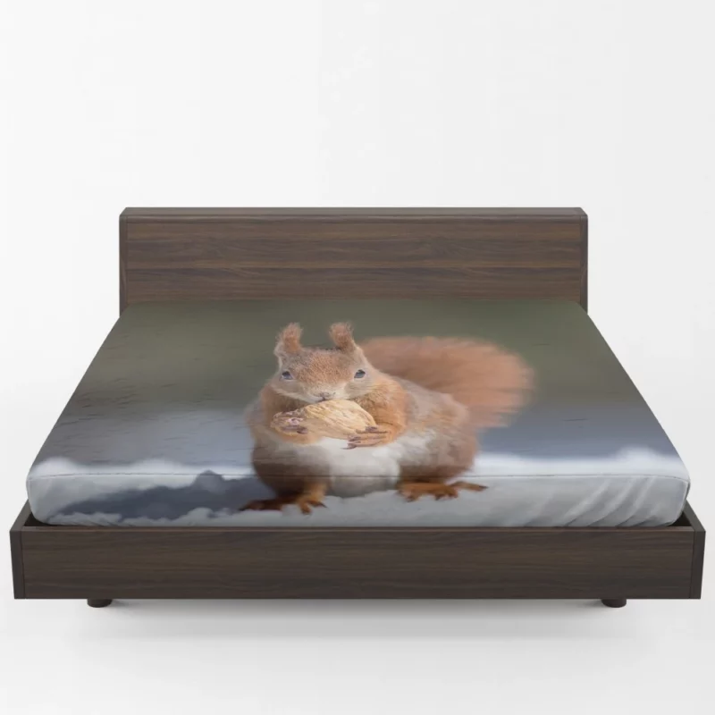 Squirrel Playful Energy Nature Charm Fitted Sheet