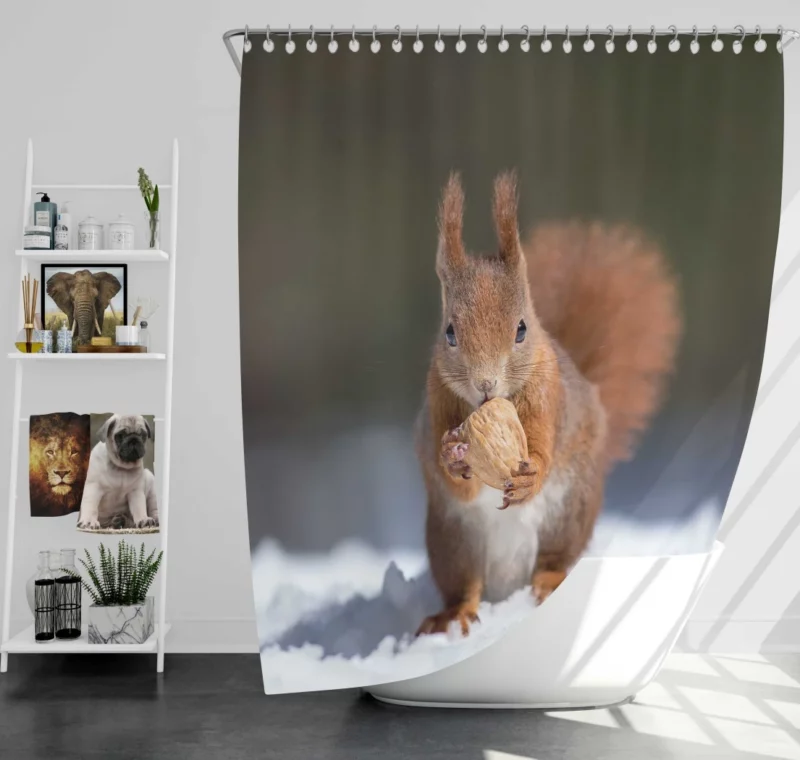 Squirrel Playful Energy Nature Charm Shower Curtain