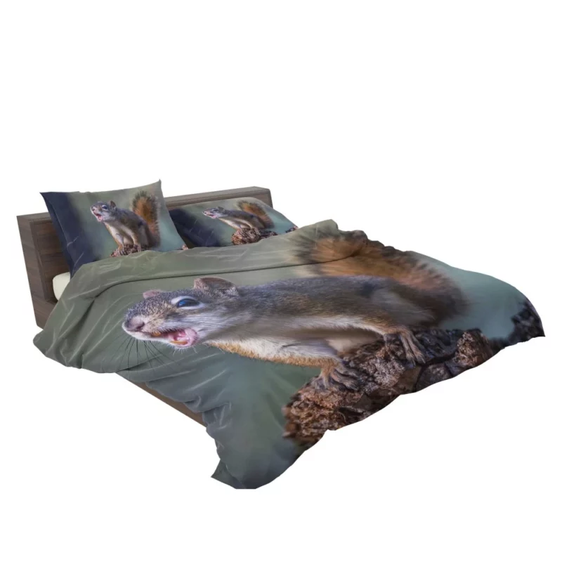 Squirrel Playful Garden Visitor Bedding Set 2