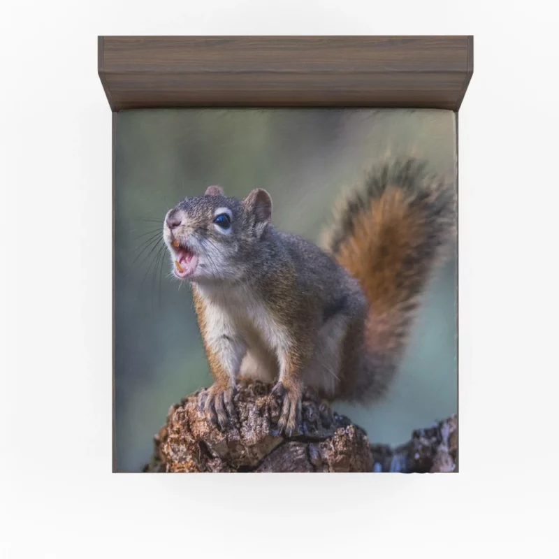 Squirrel Playful Garden Visitor Fitted Sheet 1