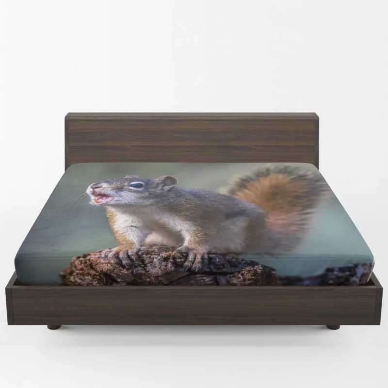 Squirrel Playful Garden Visitor Fitted Sheet