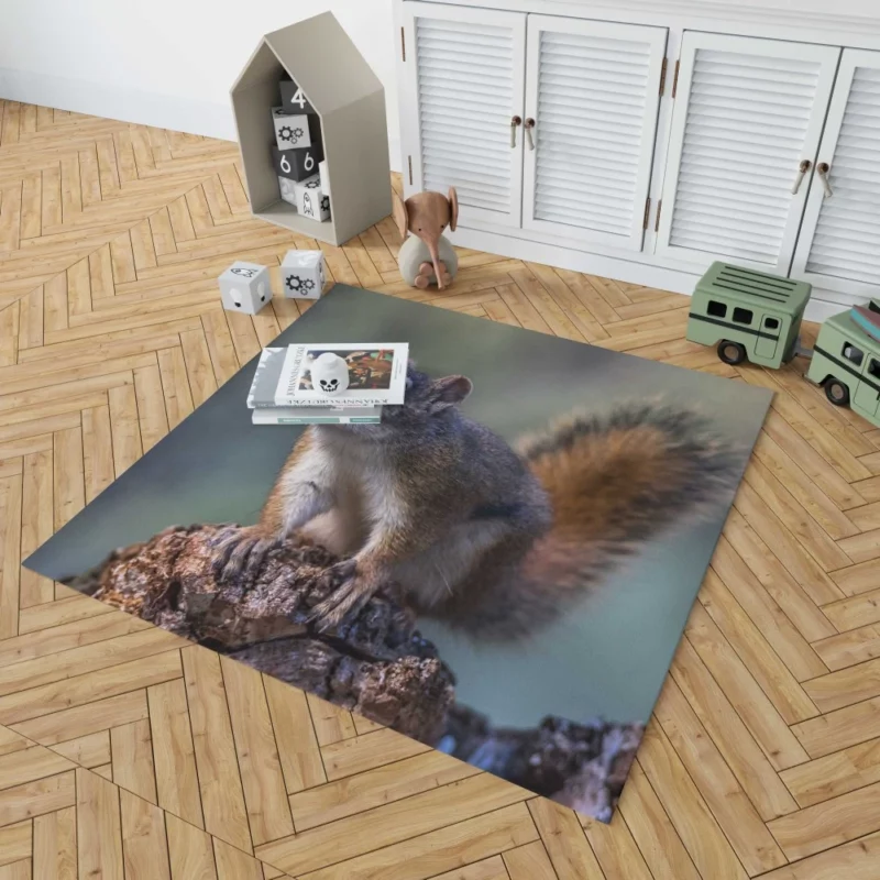 Squirrel Playful Garden Visitor Rug 1