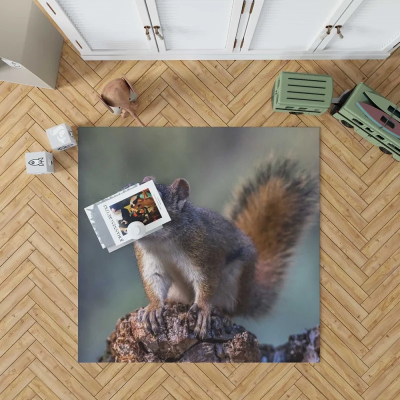 Squirrel Playful Garden Visitor Rug