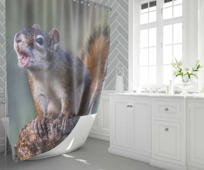 Squirrel Playful Garden Visitor Shower Curtain 1