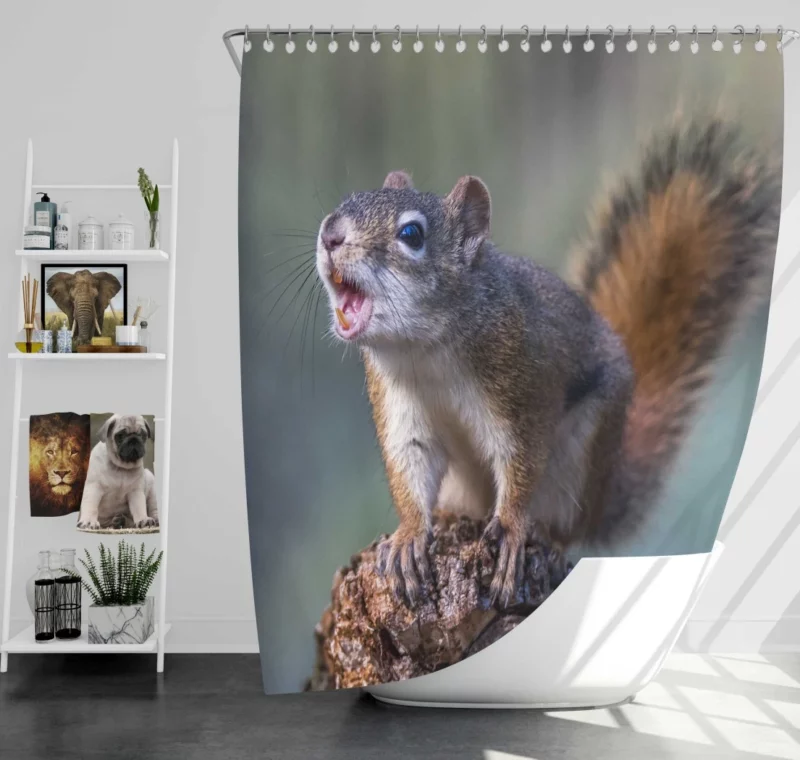 Squirrel Playful Garden Visitor Shower Curtain