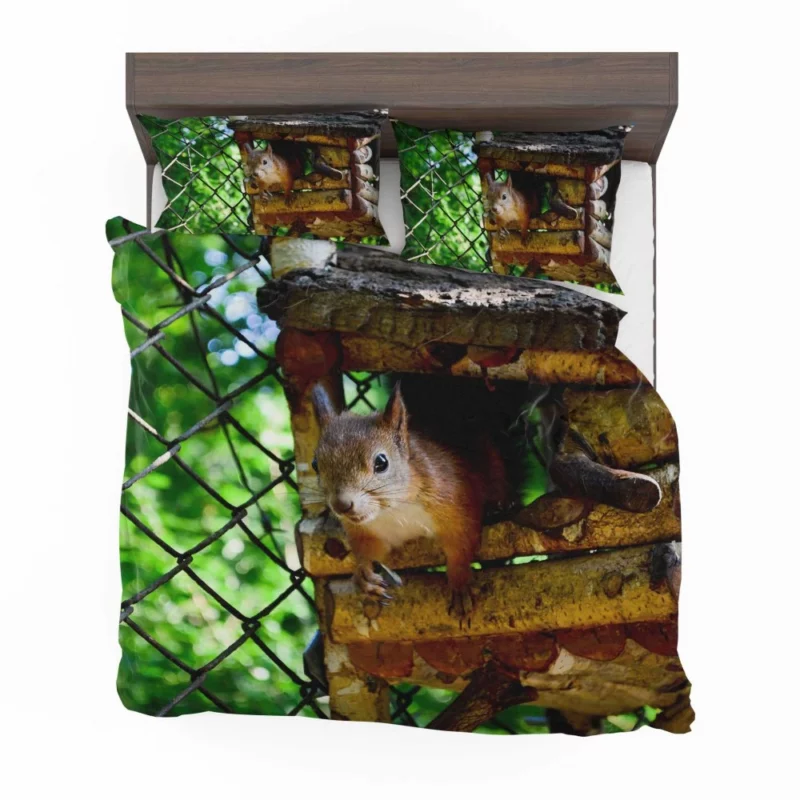 Squirrel Quick Glance Nature Intrigue Bedding Set 1