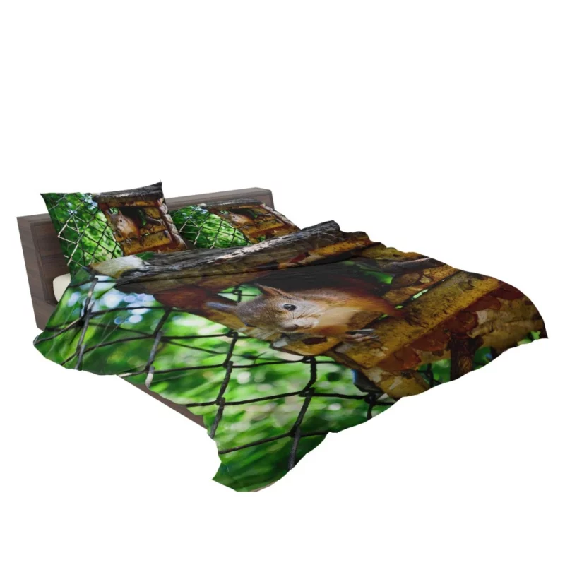 Squirrel Quick Glance Nature Intrigue Bedding Set 2