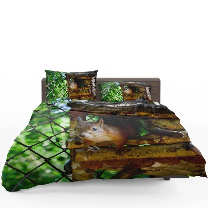 Squirrel Quick Glance Nature Intrigue Bedding Set