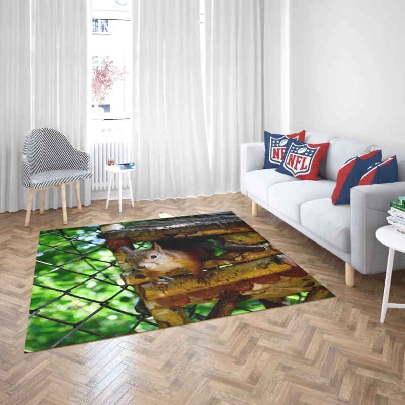 Squirrel Quick Glance Nature Intrigue Rug 2