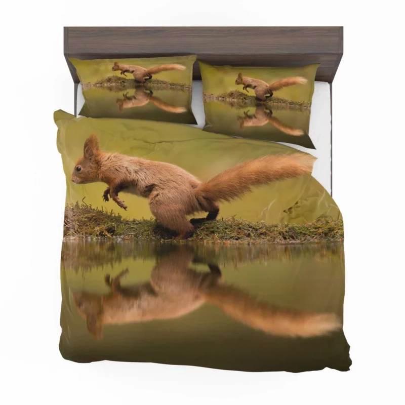 Squirrel Reflective Rodent Gaze Bedding Set 1