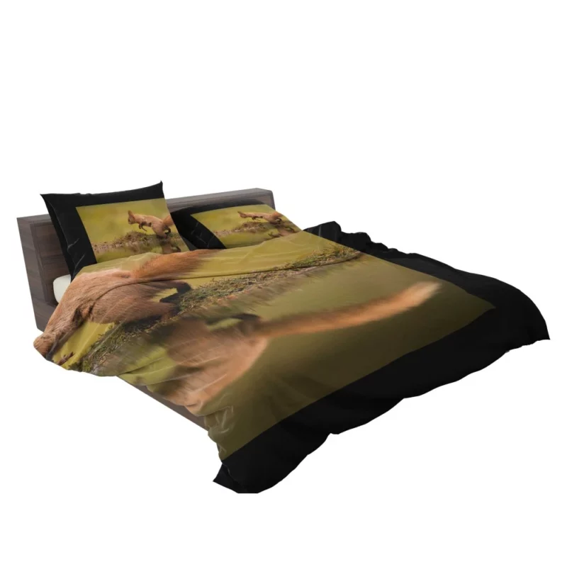 Squirrel Reflective Rodent Gaze Bedding Set 2