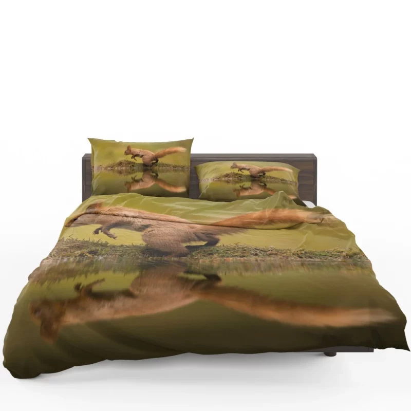 Squirrel Reflective Rodent Gaze Bedding Set