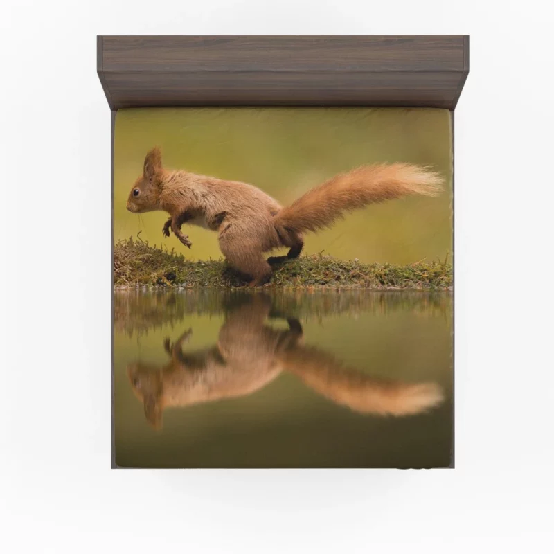 Squirrel Reflective Rodent Gaze Fitted Sheet 1