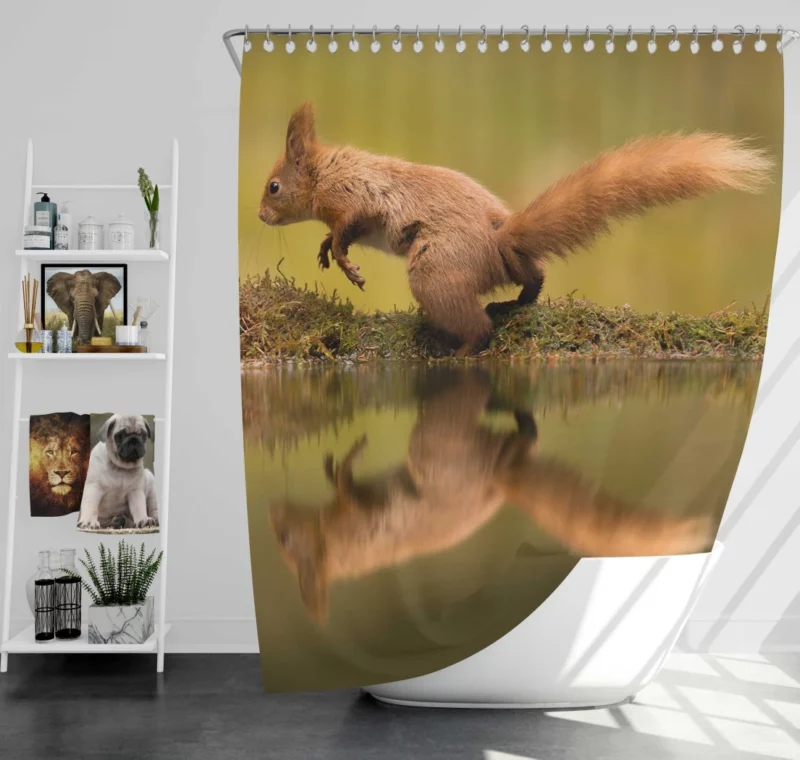 Squirrel Reflective Rodent Gaze Shower Curtain