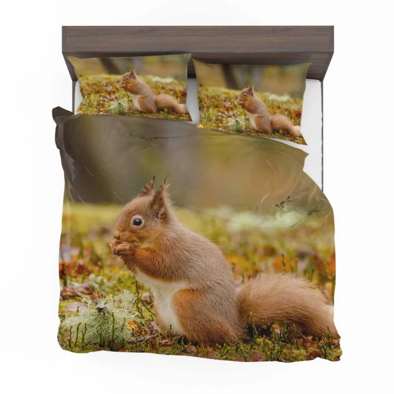 Squirrel Rodent Adventure Foraging Fun Bedding Set 1