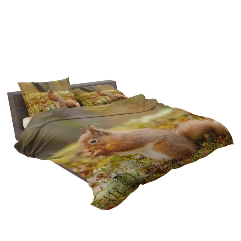 Squirrel Rodent Adventure Foraging Fun Bedding Set 2