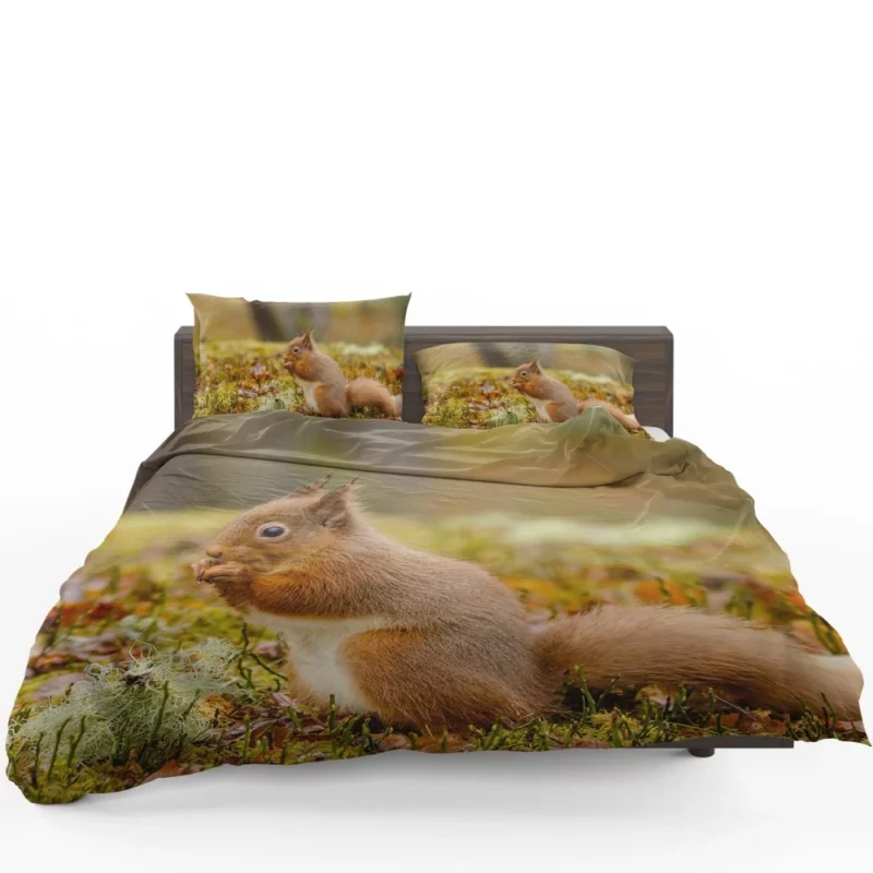 Squirrel Rodent Adventure Foraging Fun Bedding Set