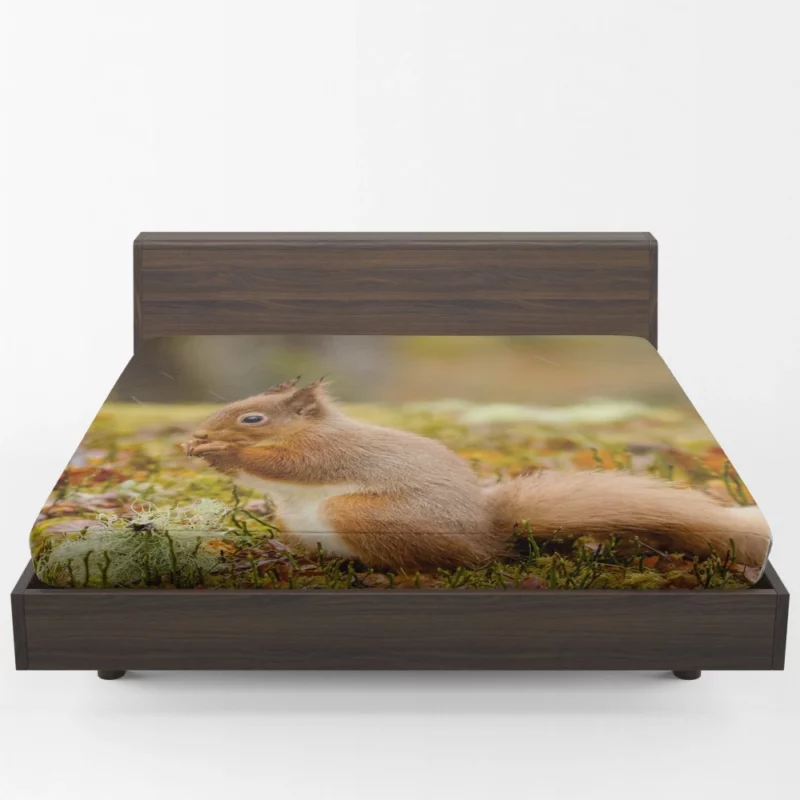 Squirrel Rodent Adventure Foraging Fun Fitted Sheet