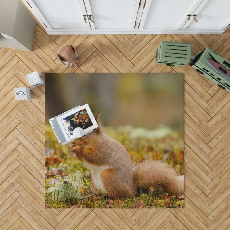 Squirrel Rodent Adventure Foraging Fun Rug