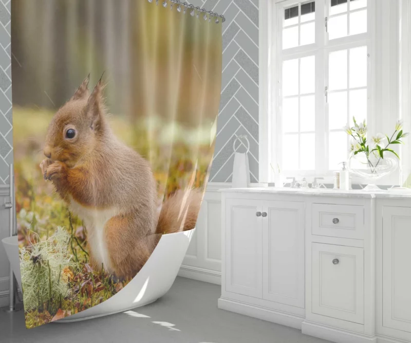 Squirrel Rodent Adventure Foraging Fun Shower Curtain 1