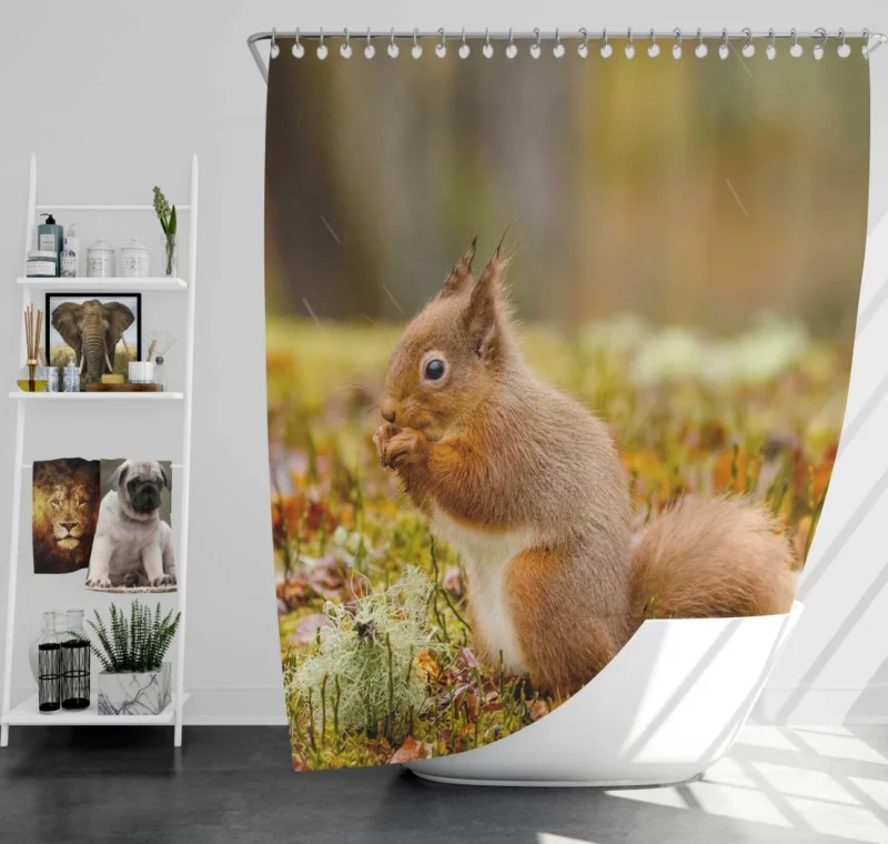 Squirrel Rodent Adventure Foraging Fun Shower Curtain