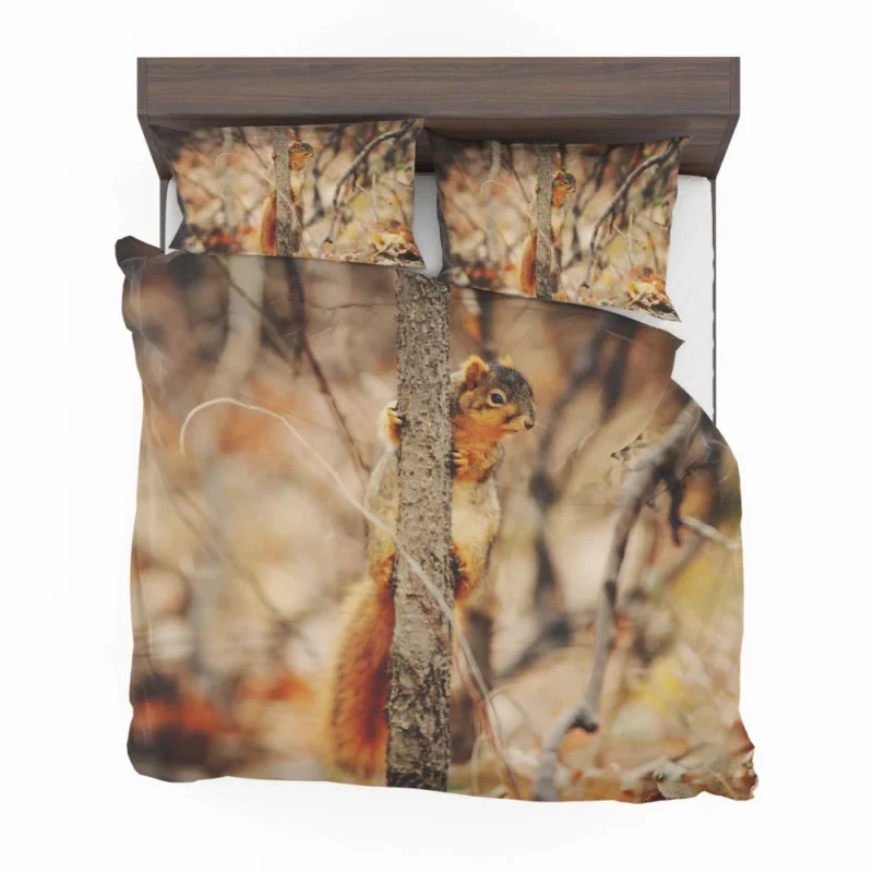 Squirrel Rodent Adventures Nature Whimsy Bedding Set 1