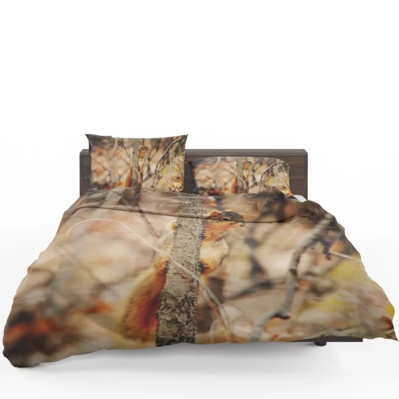 Squirrel Rodent Adventures Nature Whimsy Bedding Set