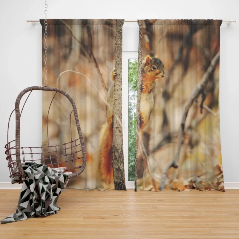 Squirrel Rodent Adventures Nature Whimsy Curtain