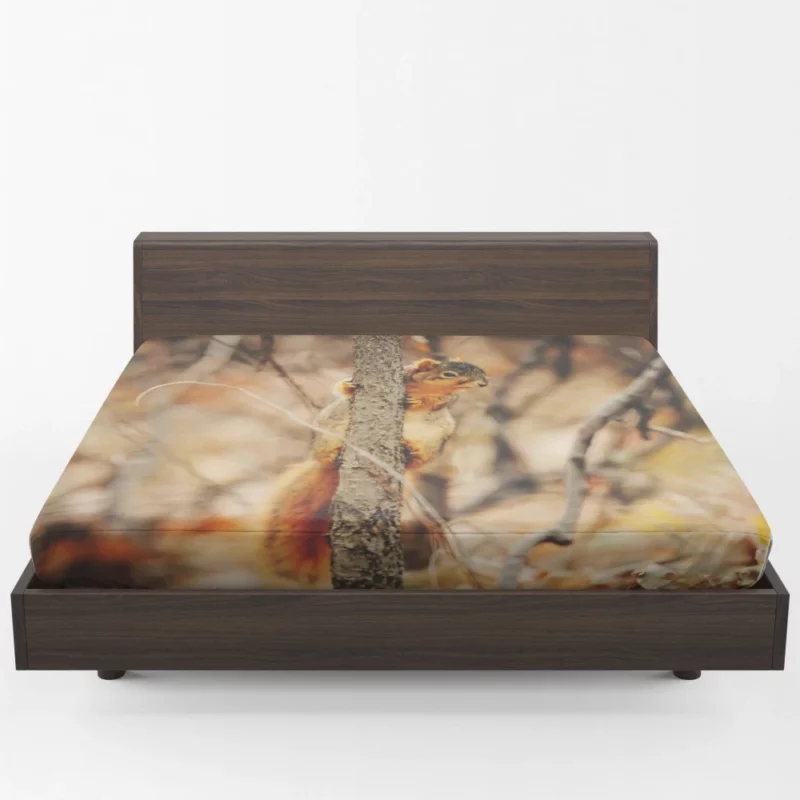 Squirrel Rodent Adventures Nature Whimsy Fitted Sheet