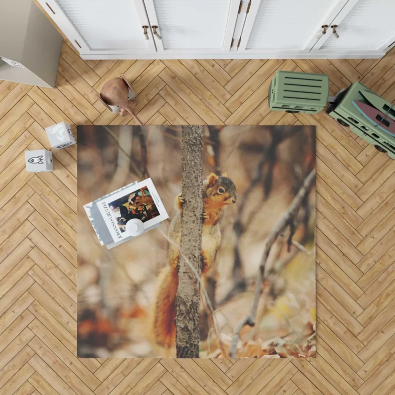 Squirrel Rodent Adventures Nature Whimsy Rug