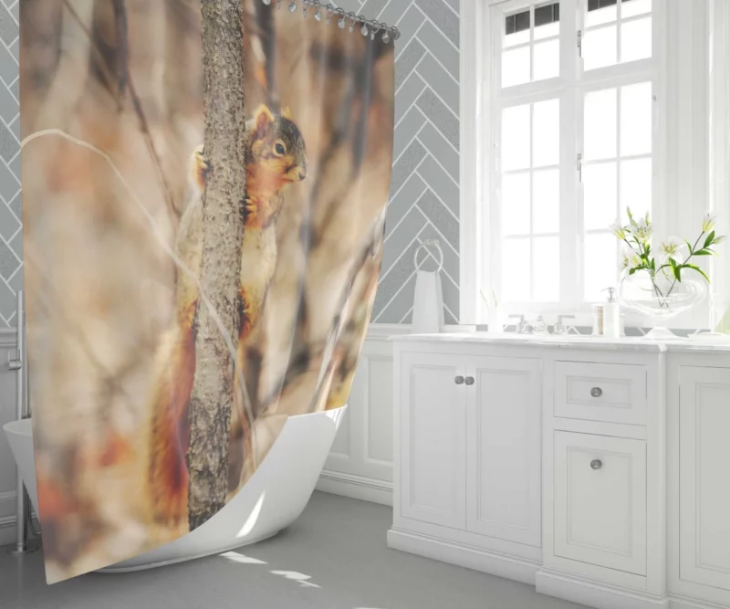 Squirrel Rodent Adventures Nature Whimsy Shower Curtain 1