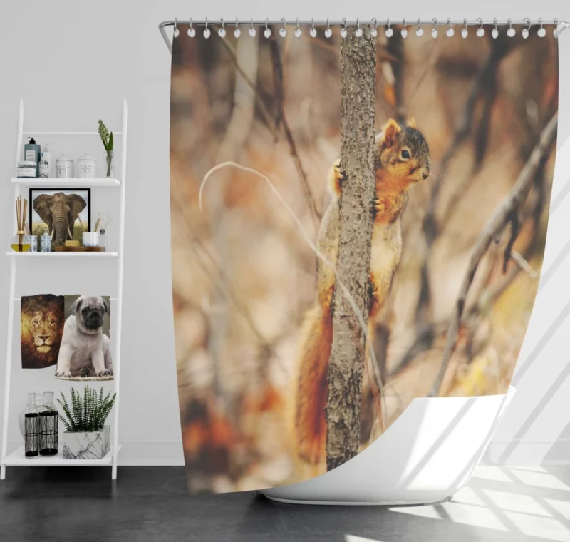 Squirrel Rodent Adventures Nature Whimsy Shower Curtain