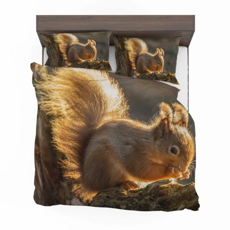 Squirrel Sunny Rodent Adventure Bedding Set 1